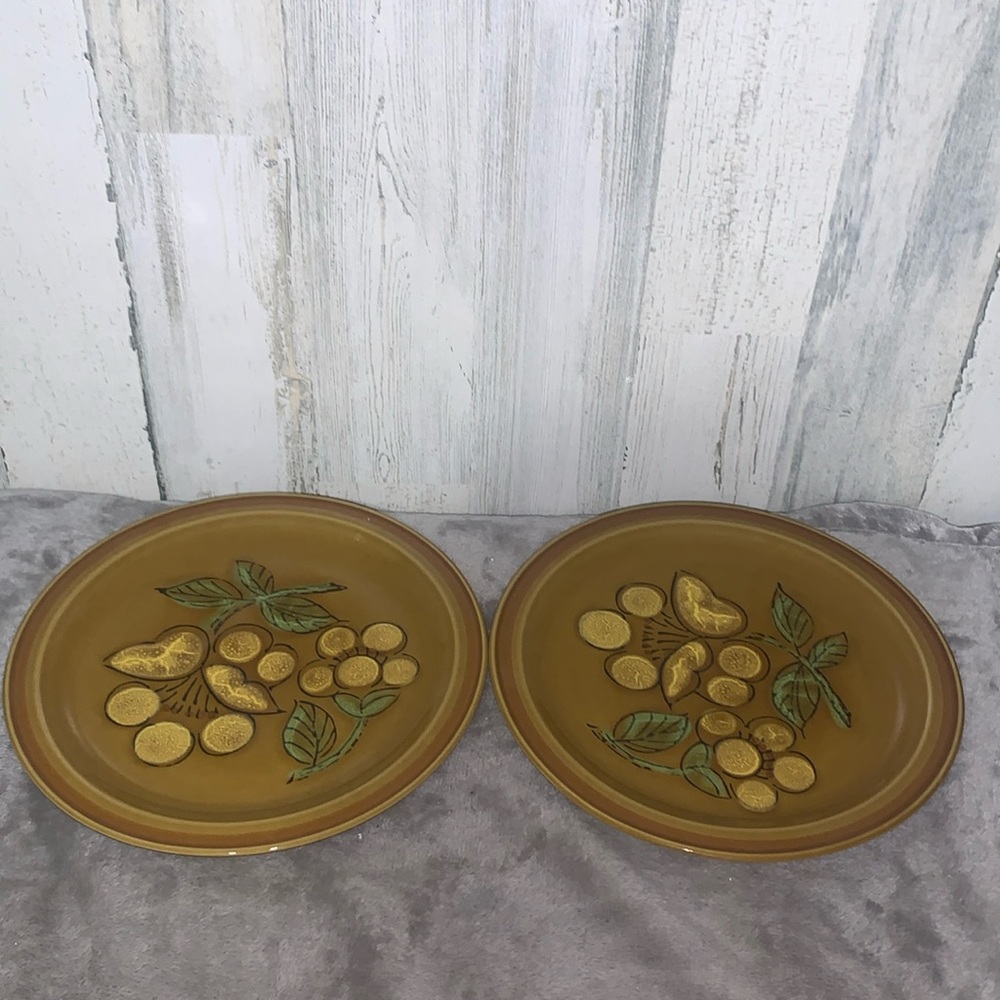 0322 Set of 2 Fashion Manor Flora Stoneware Dinner Plates